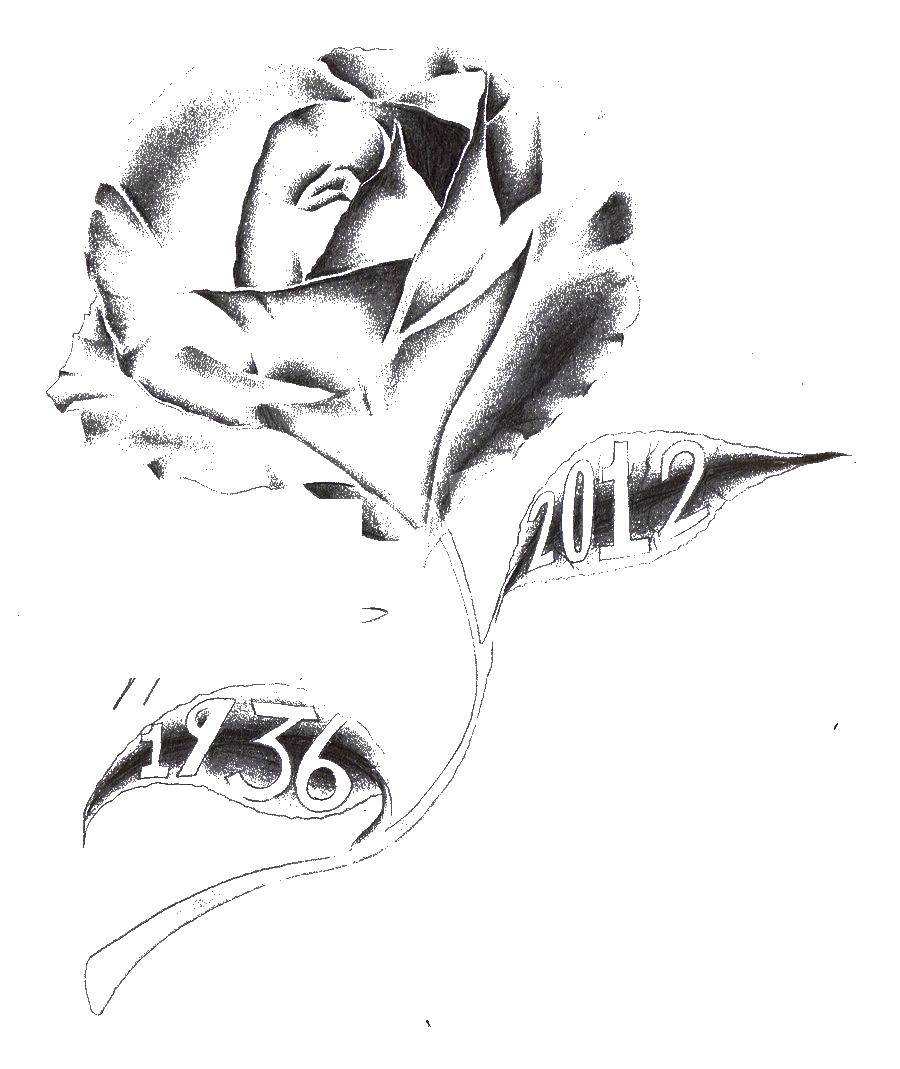 Название: Раскраска Роза. Категория: Контуры розы. Теги: Роза.