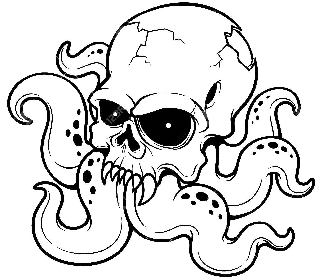 Coloring Skull with octopus legs. Category The contours of the cartoons. Tags:  skull, octopus.