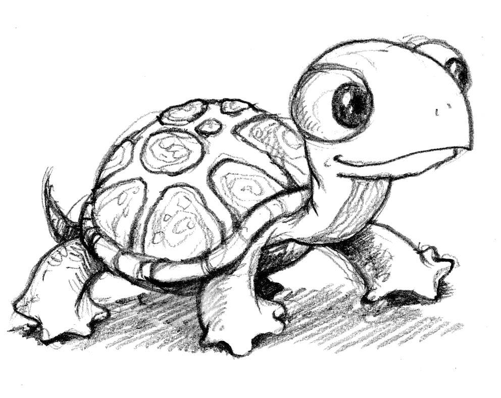 Coloring Turtle. Category The contours of the cartoons. Tags:  Turtle.