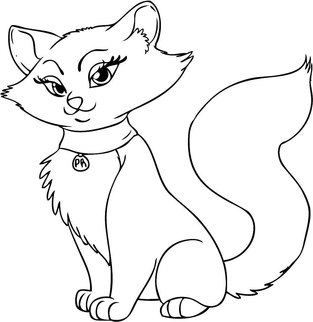 Coloring Kitty. Category The contours of the cartoons. Tags:  cat, cat.