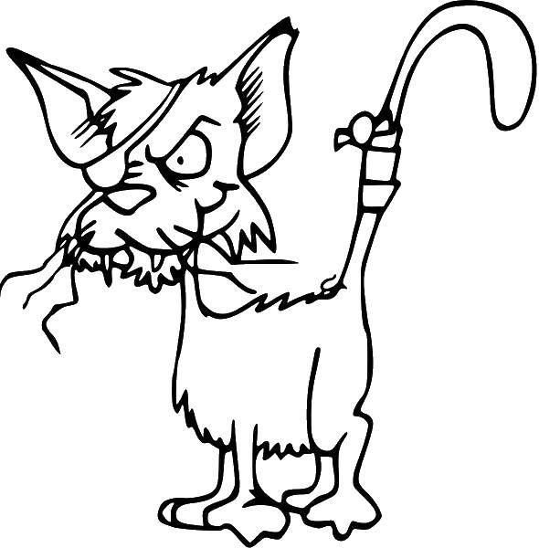 Название: Раскраска Одноглазый кот. Категория: Контуры из мультфильмов. Теги: кот, кошка.