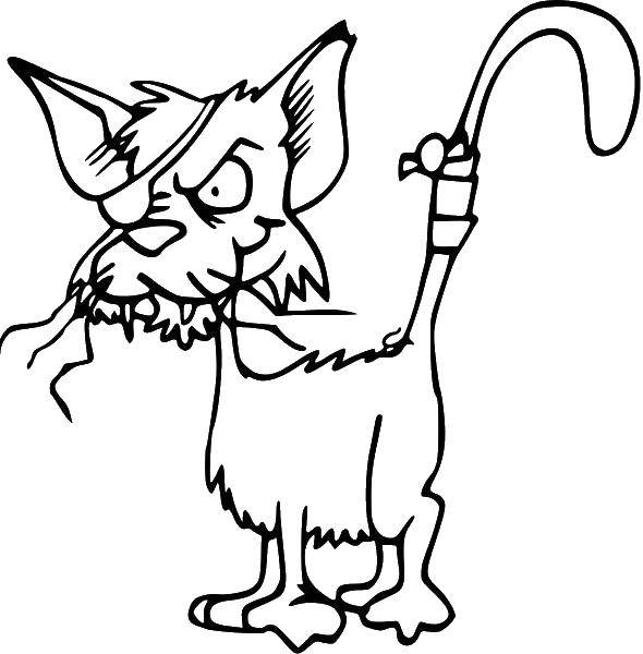 Название: Раскраска Одноглазый кот. Категория: Контуры из мультфильмов. Теги: кот, кошка.