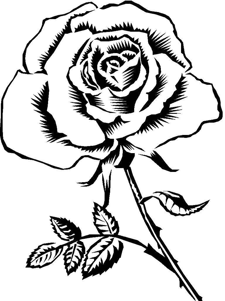 Название: Раскраска Роза с шипами. Категория: Контуры розы. Теги: роза, цветы.