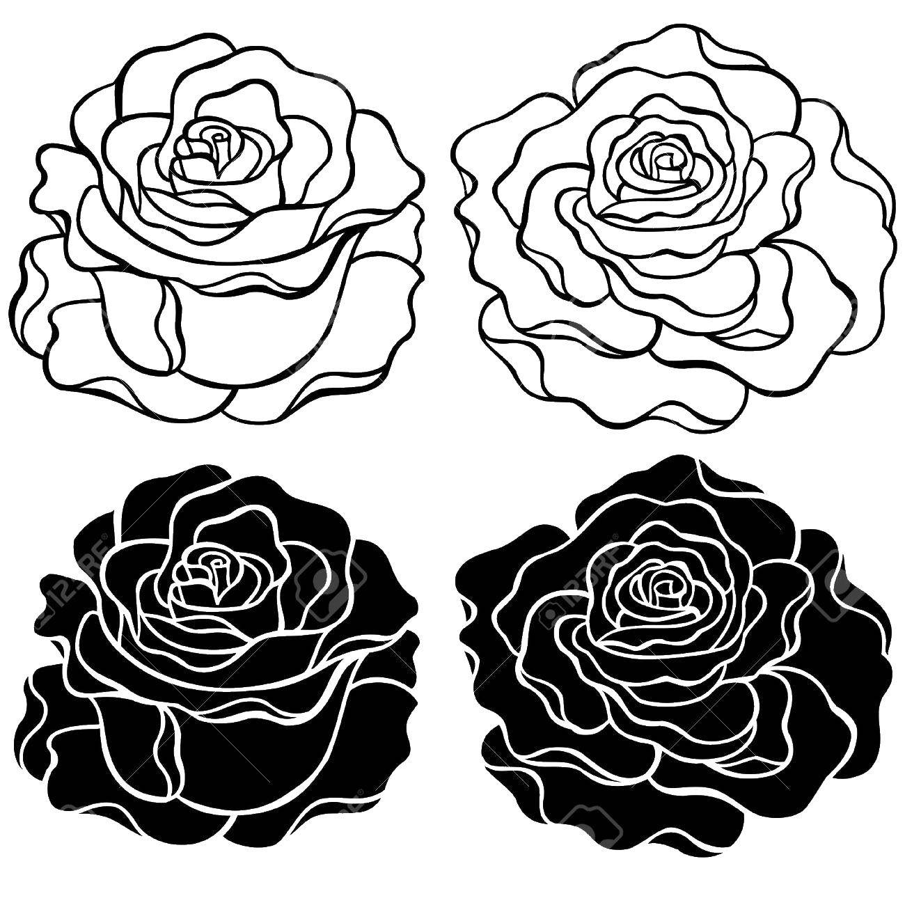 Coloring Roses. Category The contours of a rose. Tags:  Rose.