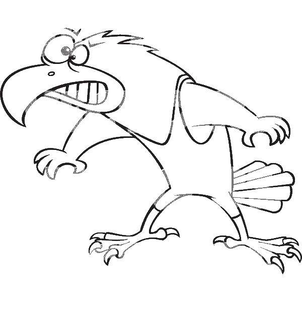 Coloring Hawk. Category The contours of the cartoons. Tags:  hawk.