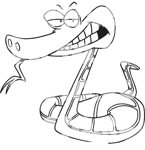 Coloring Snake. Category The contours of the cartoons. Tags:  the snake.