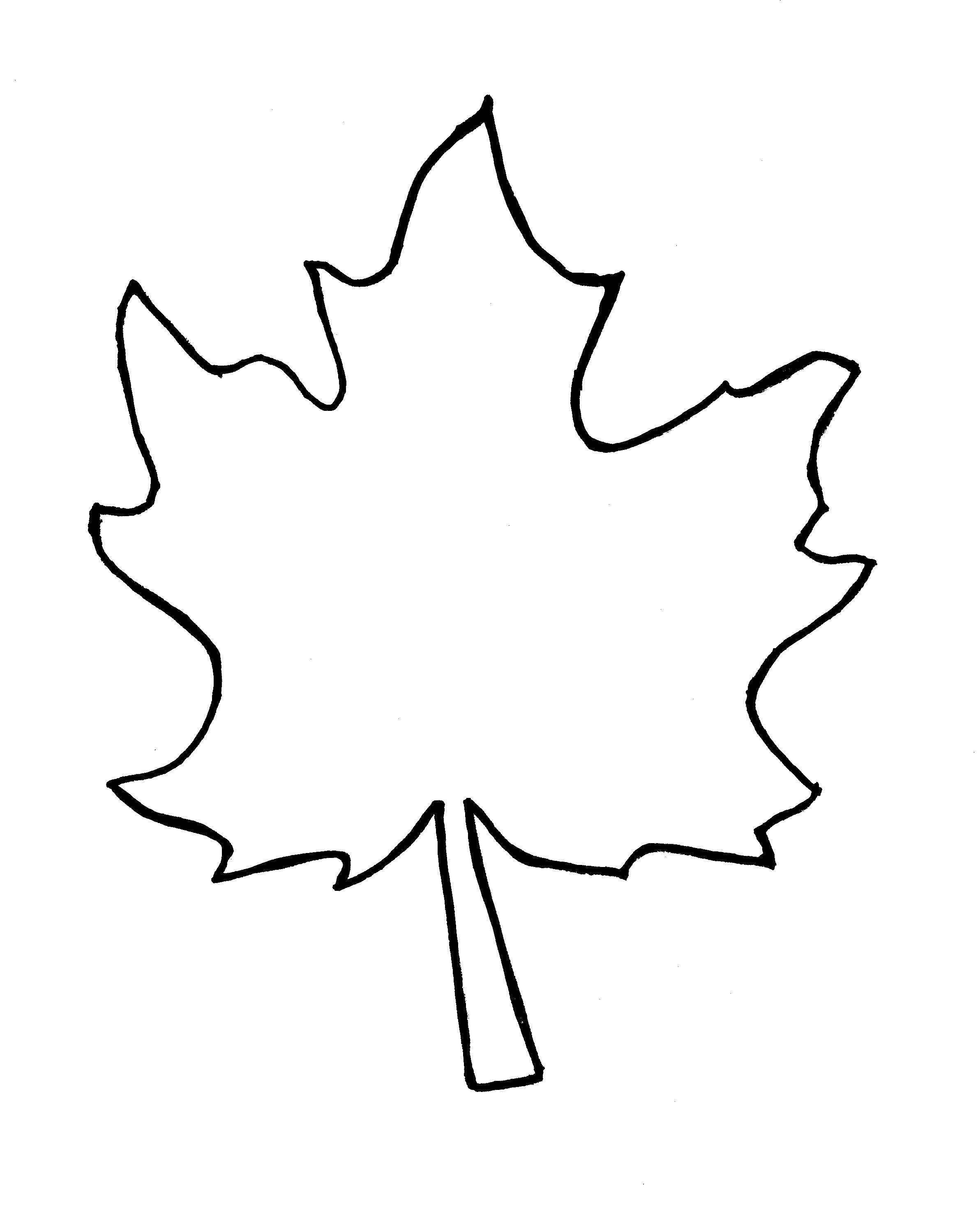 Название: Раскраска Лист  клена. Категория: Контуры листьев деревьев. Теги: лист клена.