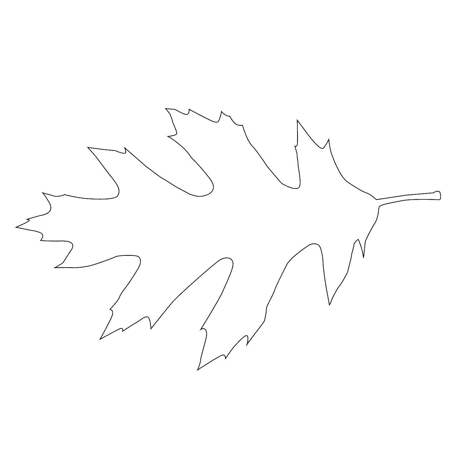 Coloring Sheet. Category The contours of the leaves of the trees. Tags:  leaf.
