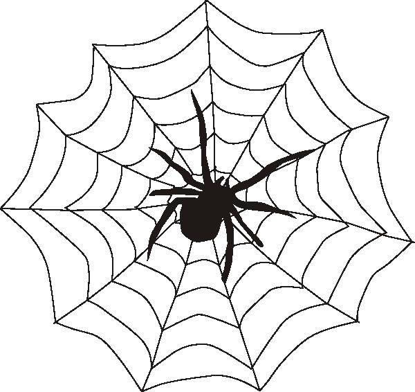 Название: Раскраска Паук на паутине. Категория: Контур паук. Теги: паук.
