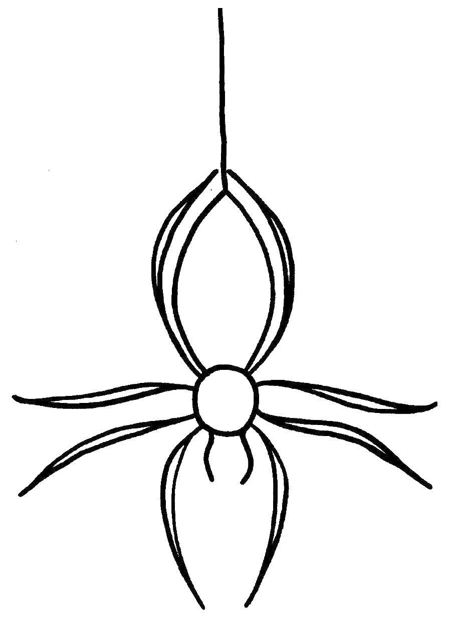 Coloring Spider. Category The contour of the spider. Tags:  spider.