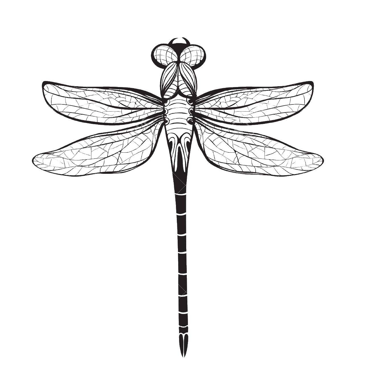 Coloring Dragonfly. Category The contours insects. Tags:  dragonfly.
