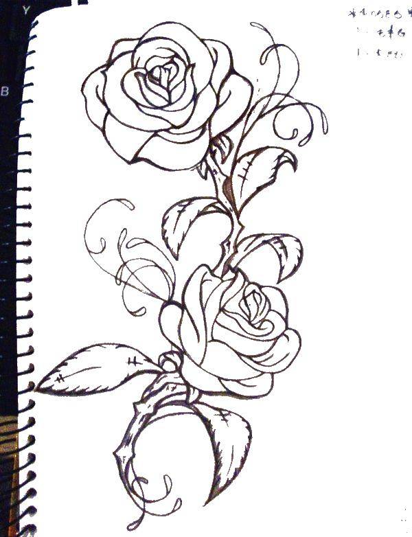 Название: Раскраска Розы. Категория: Контуры розы. Теги: Роза.