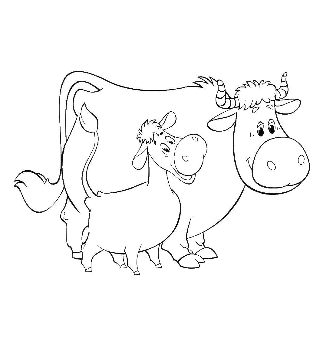 Coloring The cow Murka and calf gavryusha. Category coloring, buttermilk. Tags:  cow Murka, gavryusha calf.
