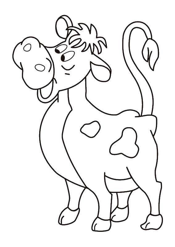 Coloring Cow buttermilk. Category coloring, buttermilk. Tags:  A character from the cartoon "Prostokvashino".