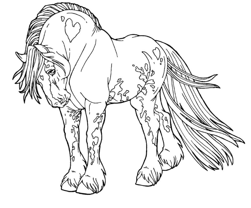 Название: Раскраска Красивая лошадь. Категория: Животные. Теги: Животные, лошадь.