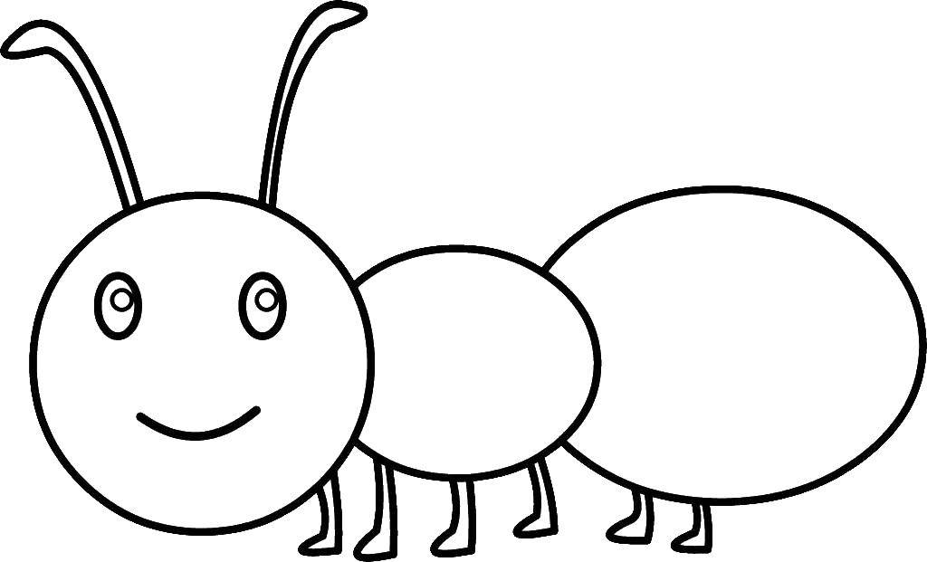 Coloring Ant. Category Coloring pages for kids. Tags:  Insects, ant.