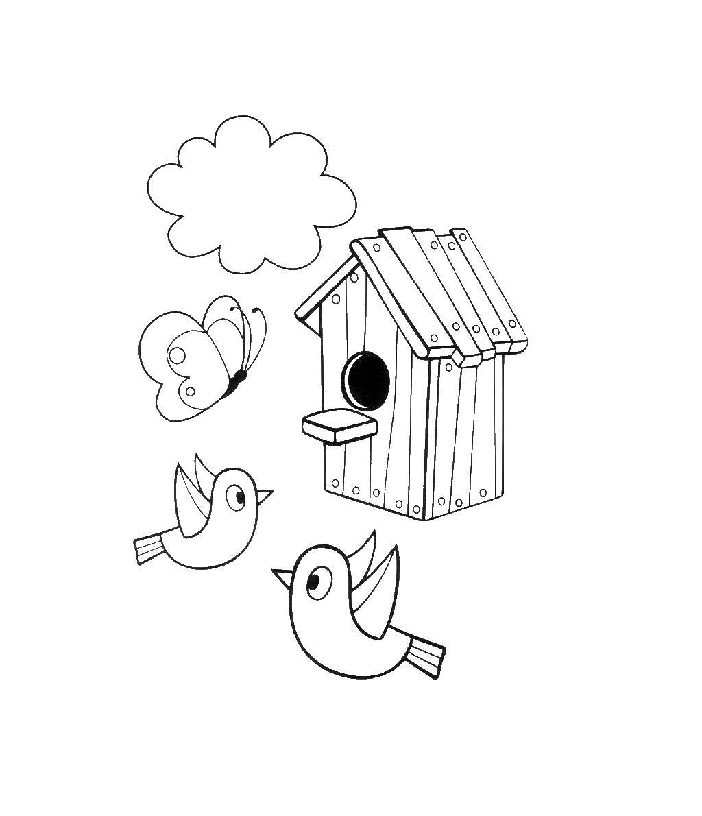 Coloring Birdhouse with birds. Category coloring, buttermilk. Tags:  Birdhouse, birds.