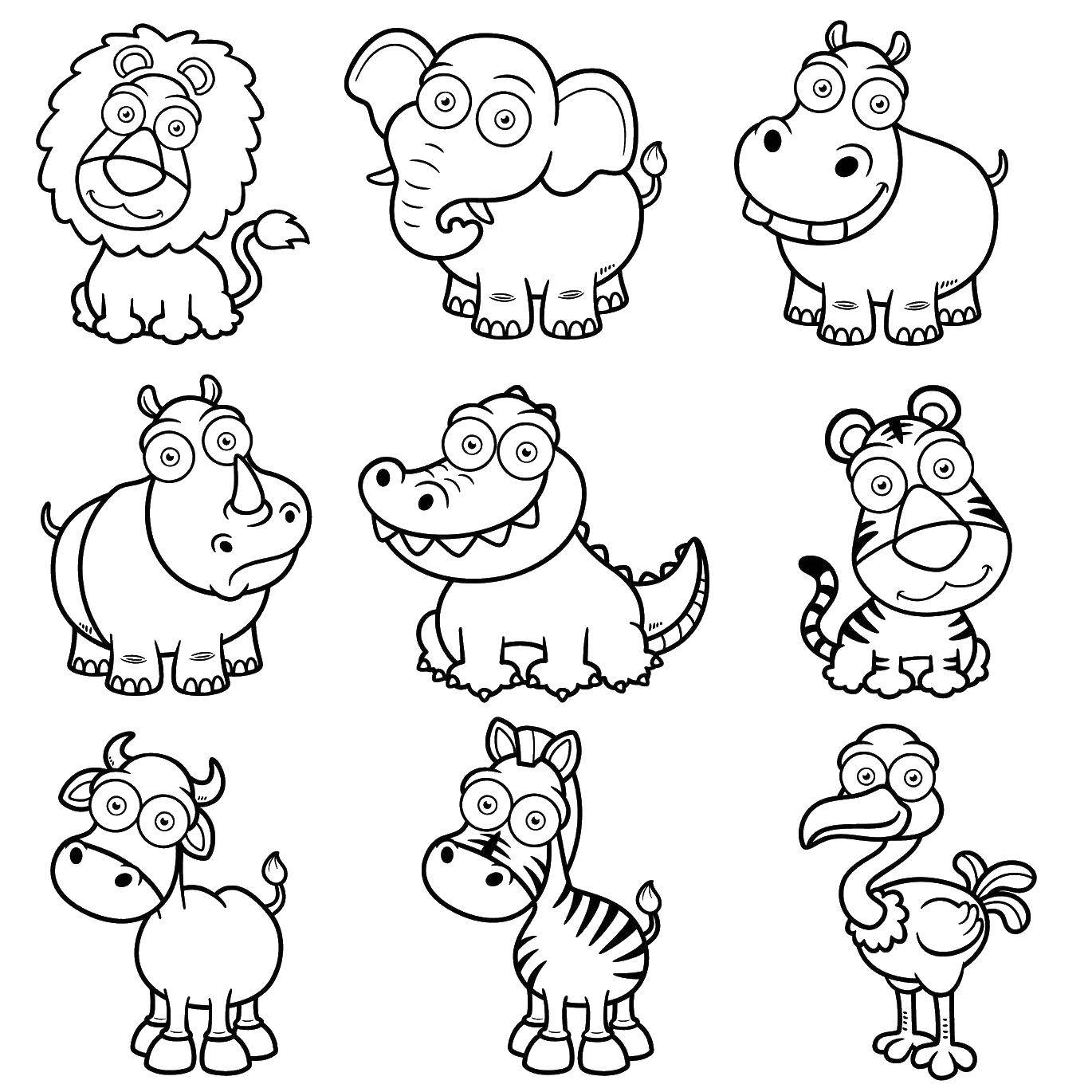 Coloring Elephant, lion, crocodile, Rhino, Hippo, tiger, cow, Zebra and ostrich. Category Zoo. Tags:  Zoo, animals.