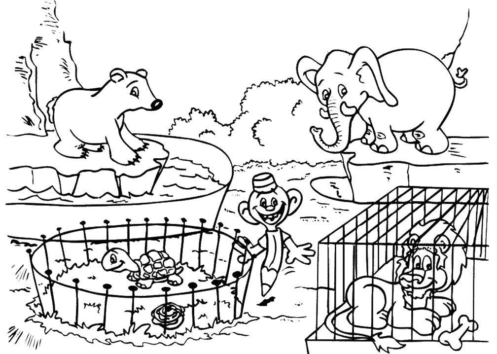 Coloring Zoo frenzy. Category Zoo. Tags:  Zoo, animals.