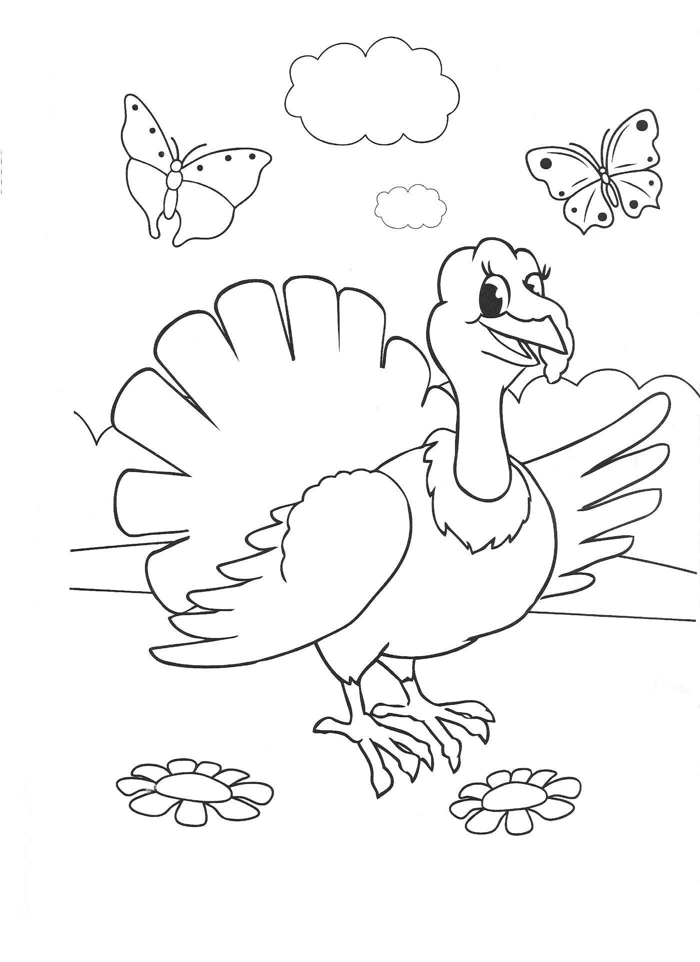 Coloring Turkeys and butterflies. Category birds. Tags:  Poultry, Turkey.