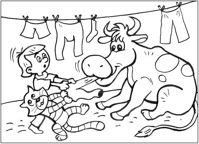 Название: Раскраска Корова мурка ест белье. Категория: раскраски простоквашино. Теги: корова мурка, теленок гаврюша.