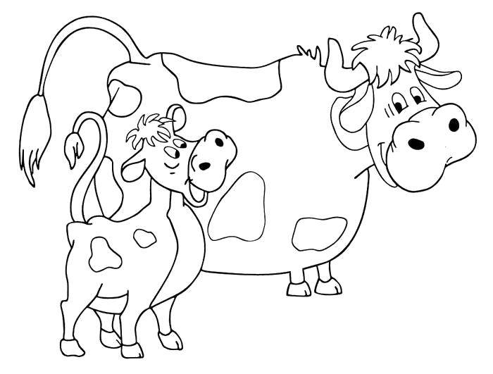 Coloring Cow and calf of buttermilk . Category coloring, buttermilk. Tags:  Cartoon character, Buttermilk .