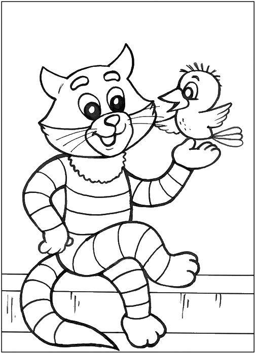 Coloring Sylvester and galchonok. Category coloring, buttermilk. Tags:  the cat Matroskin.