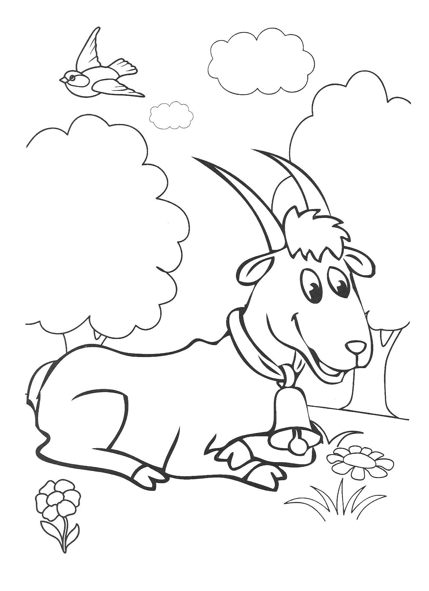 Coloring Goat on the meadow. Category Pets allowed. Tags:  Animals, goat.