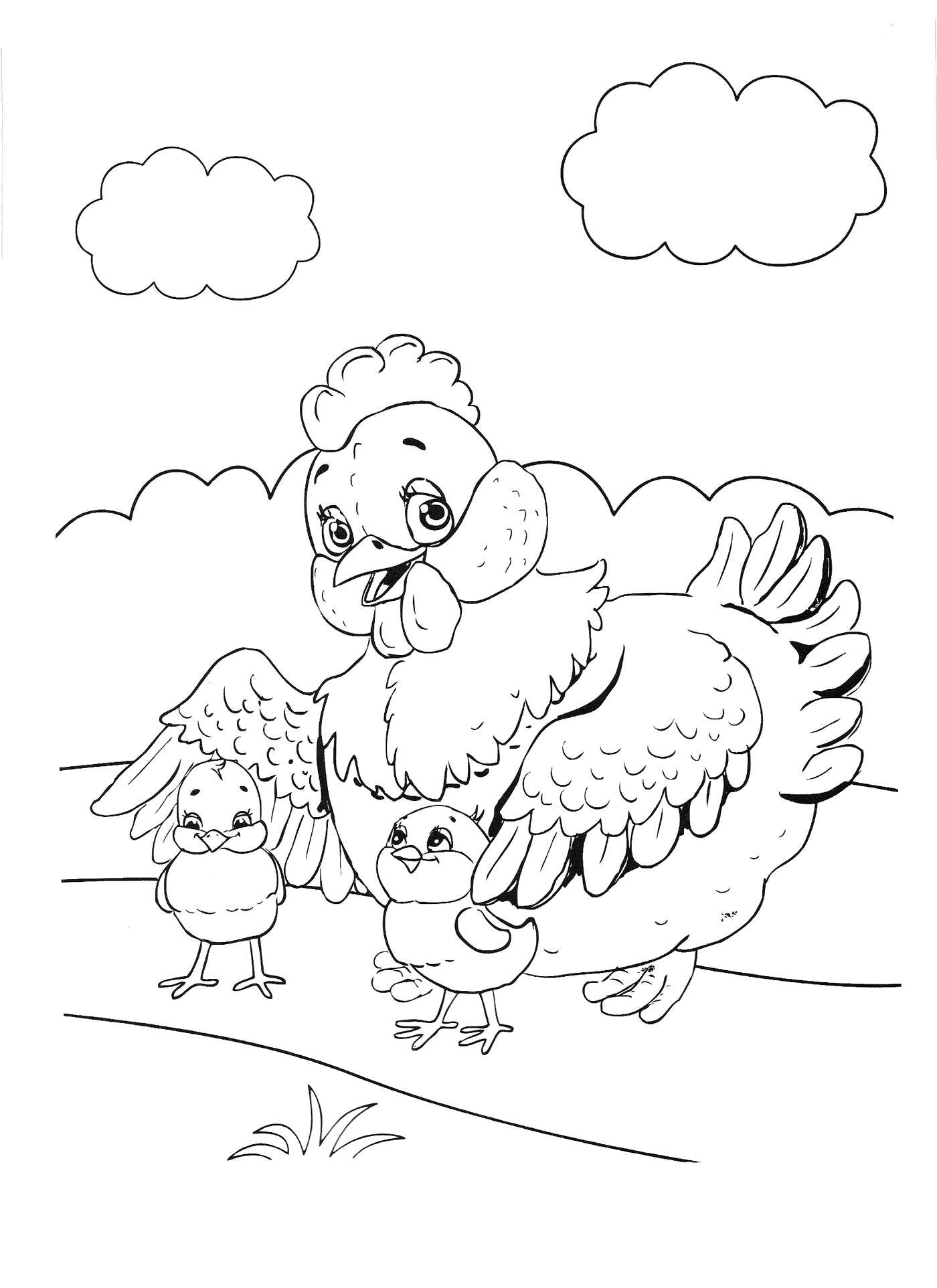 Название: Раскраска Курочка и цыплятки. Категория: птицы. Теги: Птицы, курица.