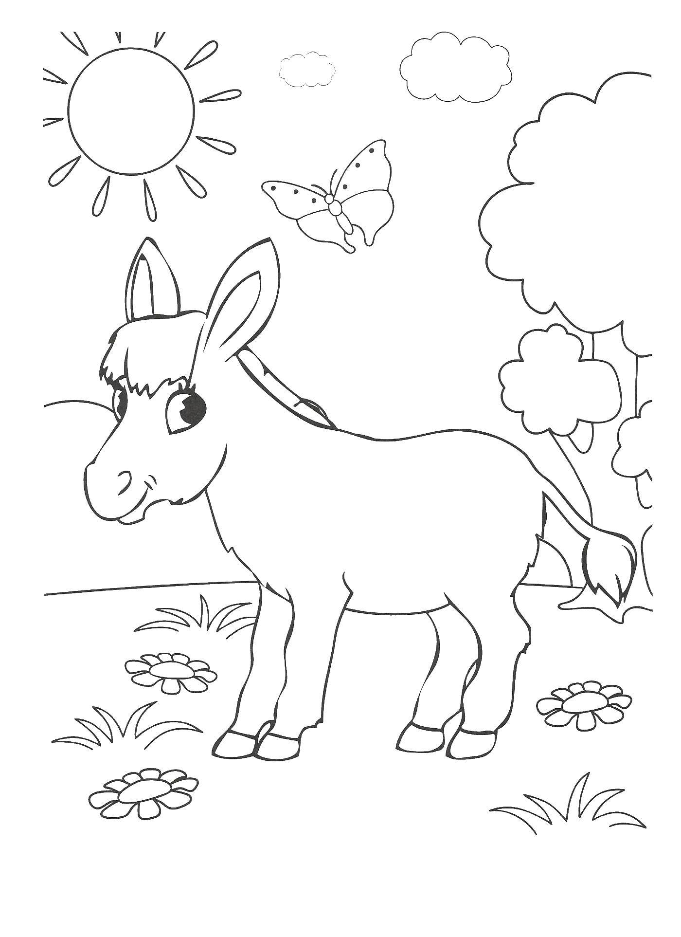 Coloring Donkey. Category Animals. Tags:  Donkey.