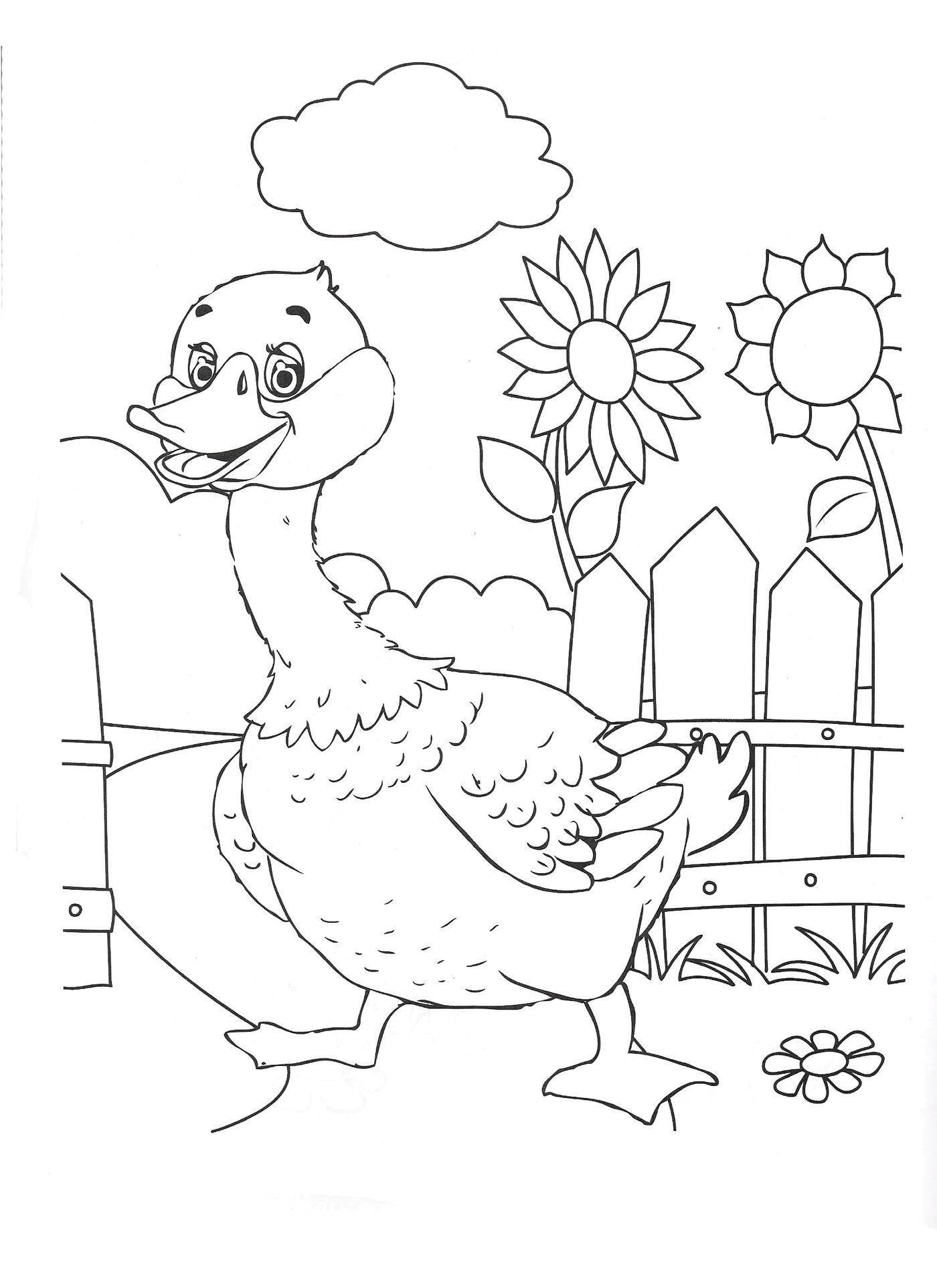 Coloring Ducks in the yard. Category birds. Tags:  Poultry, duck.
