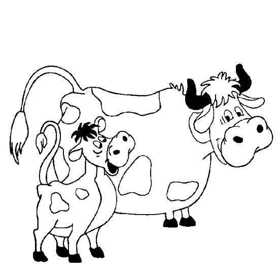 Coloring Cow and calf of buttermilk . Category coloring, buttermilk. Tags:  Cartoon character, Buttermilk .