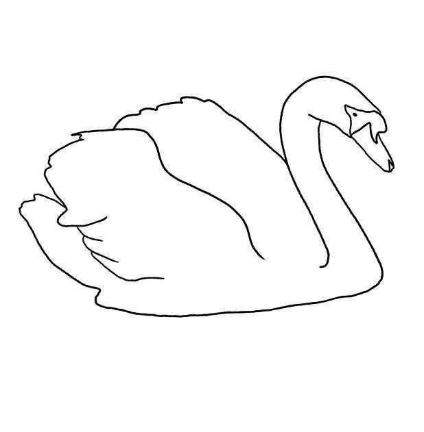Название: Раскраска Лебедь. Категория: Контуры для вырезания птиц. Теги: лебедь.
