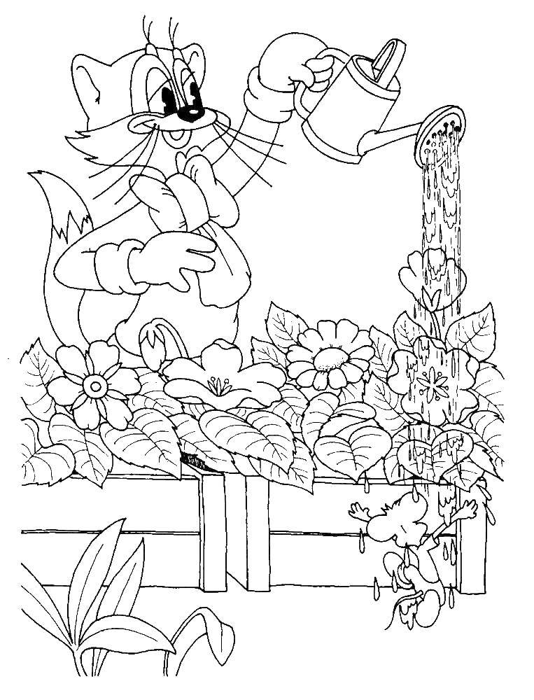 Coloring Leopold the cat polivaet flowers. Category coloring cat Leopold. Tags:  The cat, Leopold.
