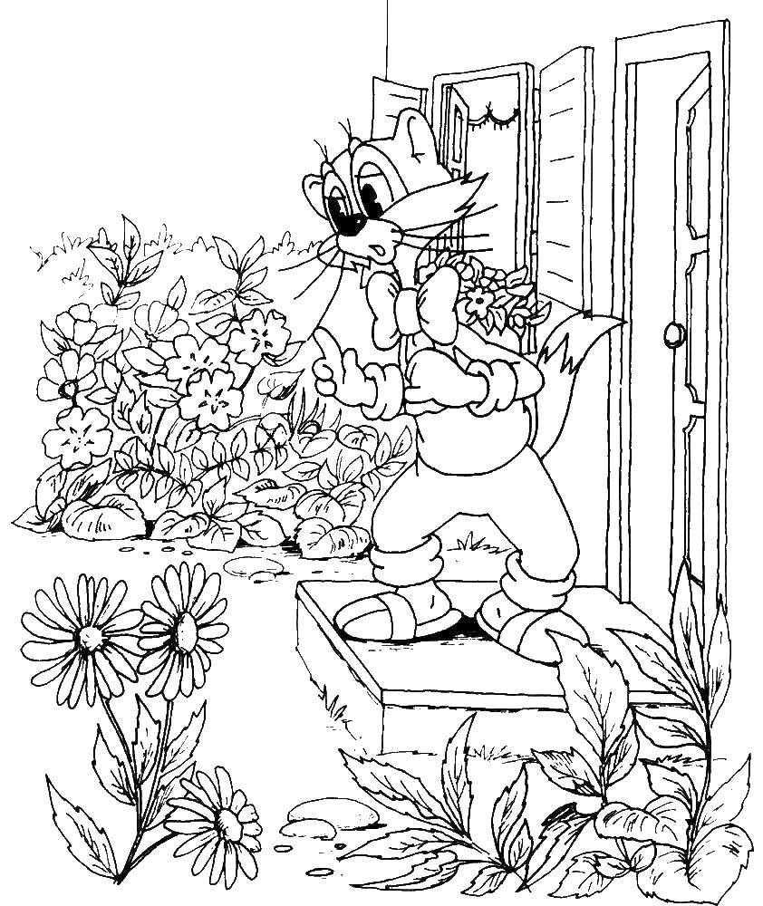 Название: Раскраска Кот леопольд собирает цветы. Категория: раскраски кот леопольд. Теги: Кот, леопольд.