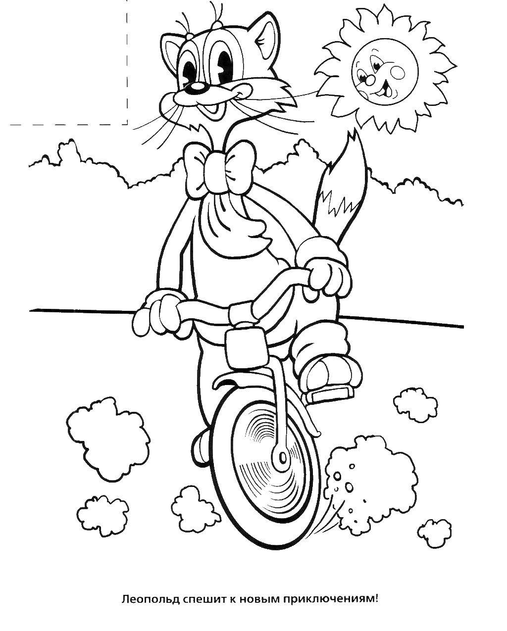 Название: Раскраска Кот леопольд катается на велосипеде. Категория: раскраски кот леопольд. Теги: Кот, леопольд.