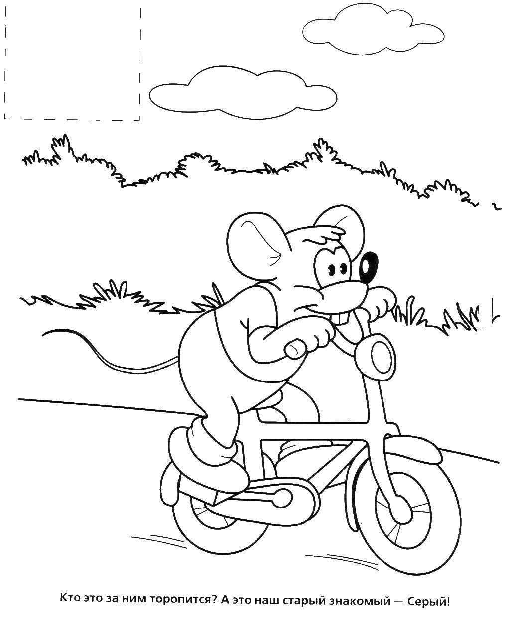 Название: Раскраска Мышь катается на велосипеде. Категория: раскраски кот леопольд. Теги: мышь, кот, Леопольд.