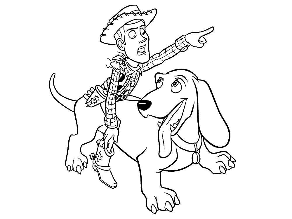Coloring Woody riding a dog. Category toy story. Tags:  Woody, toys.