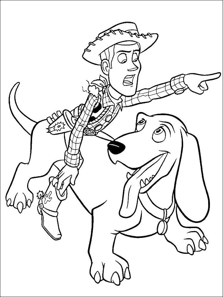 Coloring Sheriff woody the Dachshund. Category toy story. Tags:  Cartoon character, toy Story.