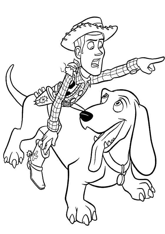 Название: Раскраска Вуди катается на собаке. Категория: история игрушек. Теги: Вуди, игрушки.
