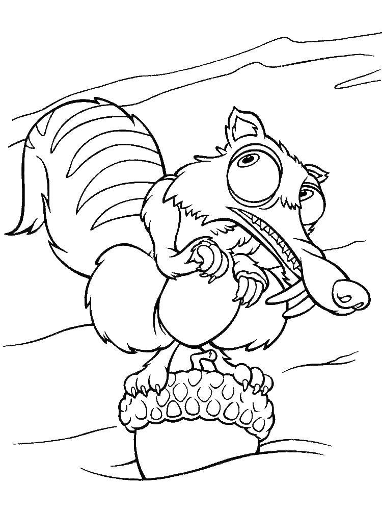 Coloring Squirrel hides nuts. Category ice age. Tags:  ice age, Sid, Manny.