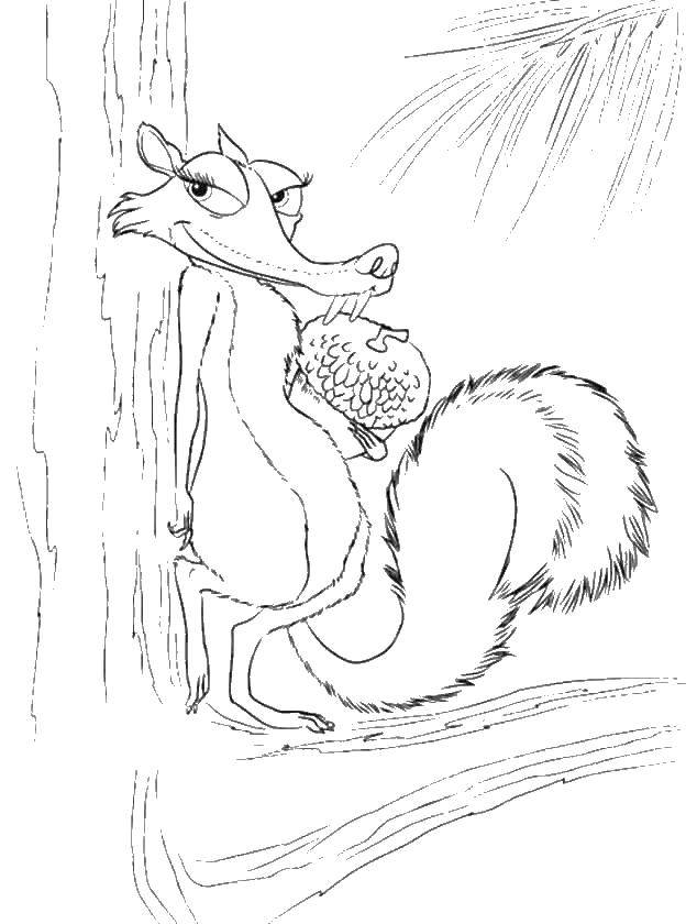 Coloring A squirrel with a nut. Category ice age. Tags:  ice age, Sid, Manny.