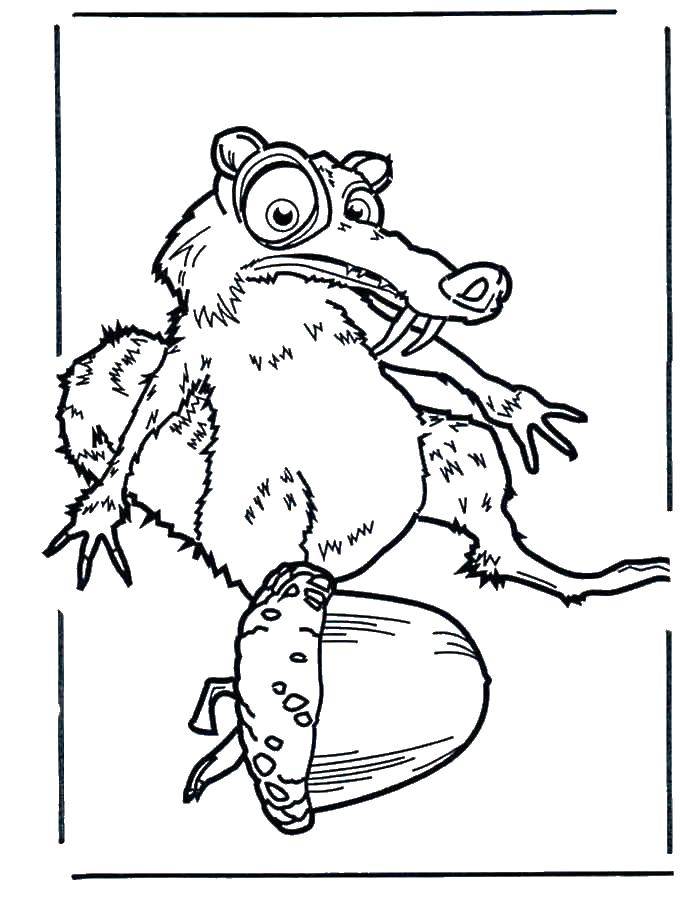 Coloring Saber-toothed squirrel scrat and his acorn. Category ice age. Tags:  Glacial period, cartoon.