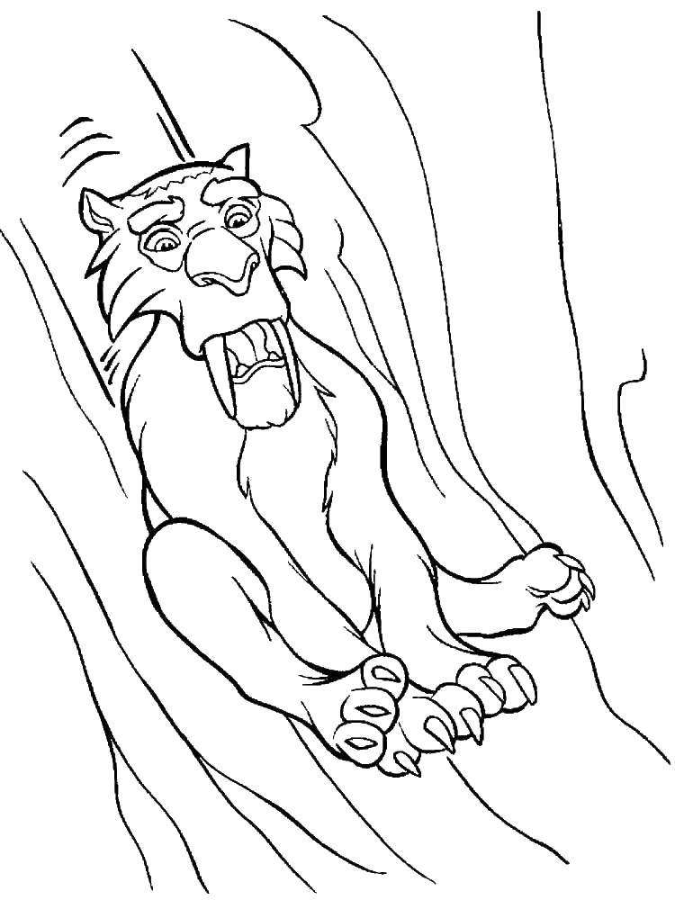 Название: Раскраска Саблезубый тигр диего. Категория: ледниковый период. Теги: Ледниковый период, мультфильм.