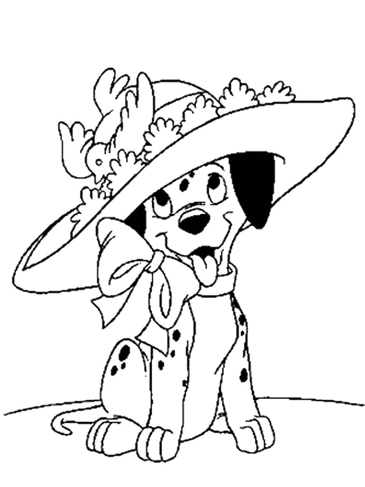 Название: Раскраска Далматинец в шляпке. Категория: 101 далматинец. Теги: 101 далматинец, Дисней, мультфильм.