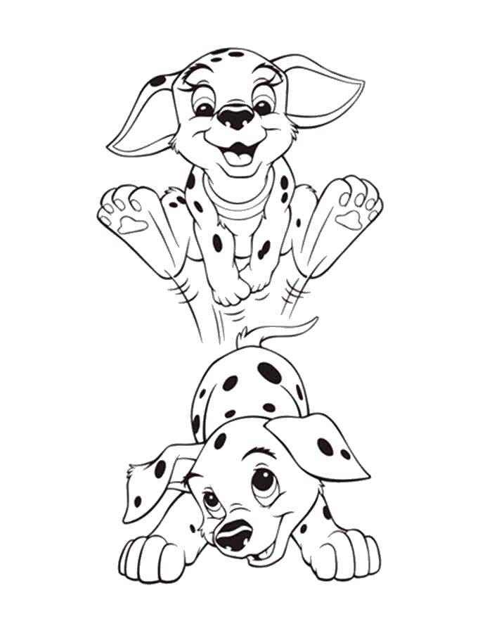 Coloring Dalmatians play. Category 101 Dalmatians. Tags:  101 Dalmatians, Disney, cartoon.