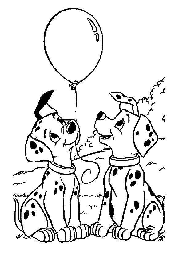 Coloring Dalmatians with the ball. Category 101 Dalmatians. Tags:  101 Dalmatians, Disney, cartoon.