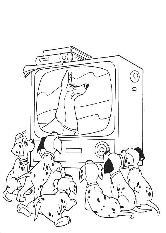 Название: Раскраска Далматинцы смотрят телевизор. Категория: 101 далматинец. Теги: 101, далматинцы.