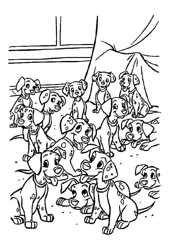 Название: Раскраска Маленькие далматинцы. Категория: 101 далматинец. Теги: 101 далматинец, Дисней, мультфильм.