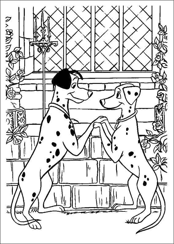 Coloring Pongo and Perdita. Category 101 Dalmatians. Tags:  That 101, Dalmatians.